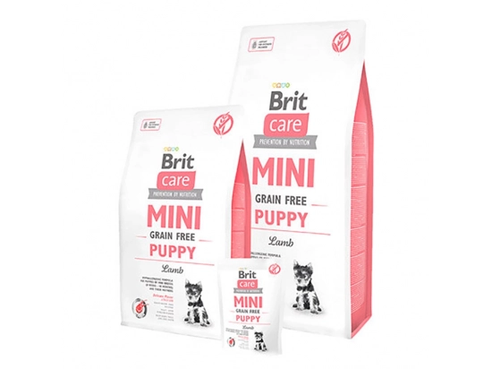 Фото - сухой корм Brit Care Dog Grain Free Mini Puppy Lamb беззерновой сухой корм для щенков мини пород ЯГНЕНОК