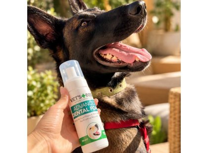 Фото 6 -  для зубів та пащі Vets Best Dental Foam стоматологічна піна для догляду за зубами та ротовою порожниною собак