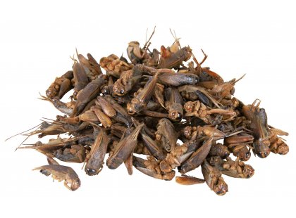 Фото 2 -  корм Trixie CRICKETS корм для рептилій, цвіркуни сушені (76392)