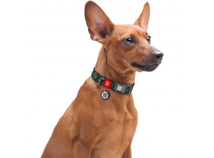 Фото 3 -  амуніція Collar WAUDOG Nylon нейлоновий нашийник для собак з QR-адресою, пластиковий фастекс, ЛУСКА