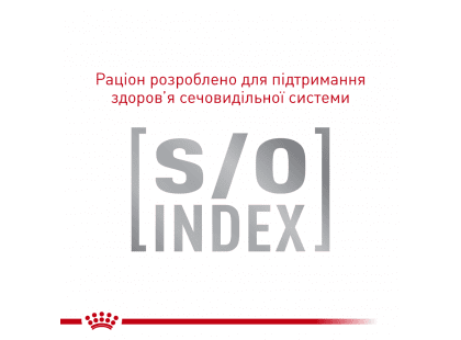 Фото 5 -  ветеринарні корми Royal Canin DIABETIC DS46 (ДІАБЕТИК) сухий лікувальний корм для котів від 1 року