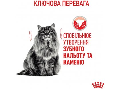 Фото - сухой корм Royal Canin DENTAL CARE (ДЕНТАЛ КЕАР) сухой корм для взрослых кошек