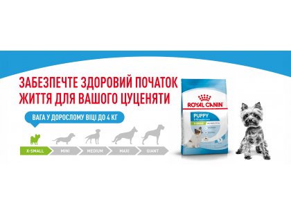 Фото 10 -  сухой корм Royal Canin X-SMALL PUPPY (ЩЕНКИ МЕЛКИХ ПОРОД) корм для щенков до 10 месяцев