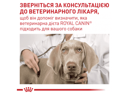 Фото 6 -  ветеринарні корми Royal Canin NEUTERED ADULT консерви для кастрованих та стерилізованих собак