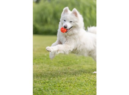 Фото 3 -  іграшки Trixie Honeycomb Ball іграшка для собак М'ЯЧ (33543)