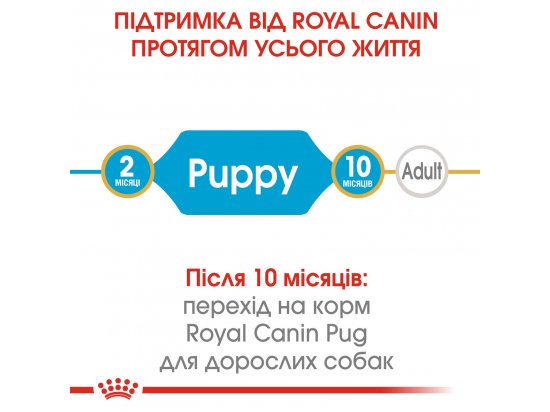 Фото - сухой корм Royal Canin PUG PUPPY (МОПС ПАППИ) корм для щенков до 10 месяцев