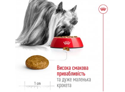 Фото 3 -  сухий корм Royal Canin X-SMALL ADULT (СОБАКИ ДРІБНИХ ПОРІД ЕДАЛТ) корм для собак від 10 місяців