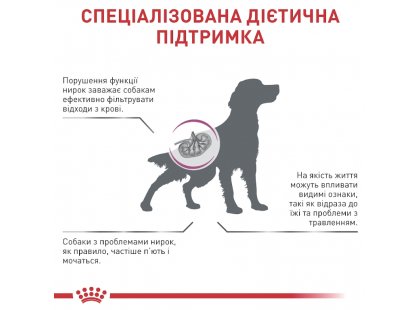 Фото 5 -  ветеринарные корма Royal Canin RENAL RF14 (РЕНАЛ) сухой лечебный корм для собак
