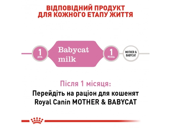 Фото - заменитель кошачьего молока Royal Canin BABYCAT MILK (БЕБИКЕТ МИЛК) заменитель молока для котят