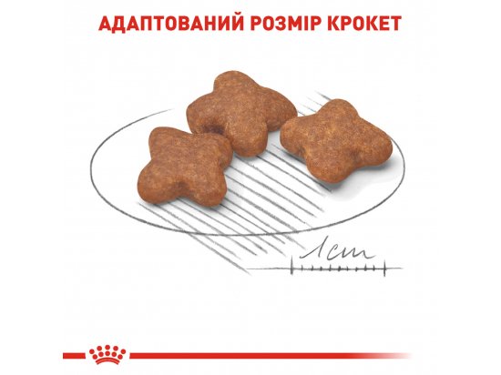 Фото - сухой корм Royal Canin MINI ADULT 8+ (СОБАКИ МЕЛКИХ ПОРОД ЭДАЛТ 8+) корм для собак от 8 лет