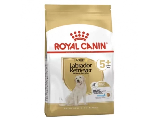 Фото - сухой корм Royal Canin LABRADOR RETRIEVER 5+ (ЛАБРАДОР РЕТРИВЕР 5+) корм для собак старше 5 лет