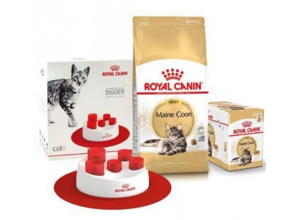 Фото - Royal Canin MAINE COON (МЕЙН-КУН) корм для кішок від 1 року сухий корм Royal Canin MAINE COON (МЕЙН-КУН) корм для кішок від 1 року