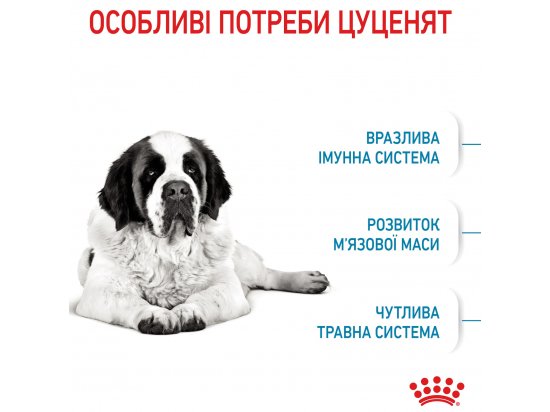 Фото - сухой корм Royal Canin GIANT JUNIOR (ЮНИОРЫ ГИГАНТСКИХ ПОРОД) корм для щенков от 8-24 месяцев