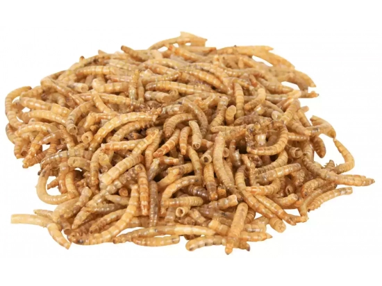 Фото - корм Trixie MEALWORMS корм для рептилий, черви сушеные (76391)