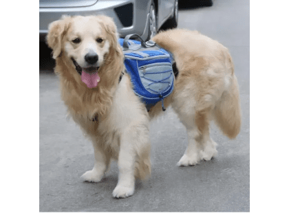 Фото 7 -  амуниция Voyager Pet Lovoyager Dog Bagpack сумка-седло для собак, синий