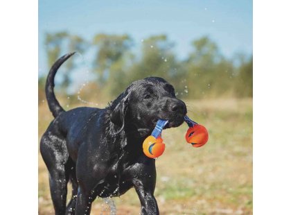 Фото 4 -  игрушки CHUCKIT Hydrosqueeze Duo Tug игрушка для собак 2 МЯЧА С РЕМНЕМ