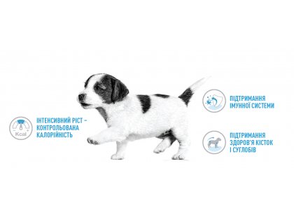 Фото 6 -  сухой корм Royal Canin GIANT PUPPY корм для щенков гигантских пород от 2 до 8 месяцев