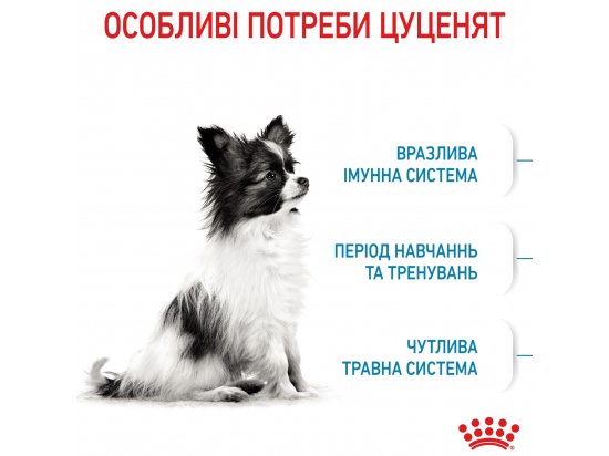 Фото - сухой корм Royal Canin X-SMALL PUPPY (ЩЕНКИ МЕЛКИХ ПОРОД) корм для щенков до 10 месяцев