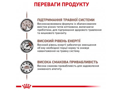 Фото - ветеринарные корма Royal Canin GASTRO INTESTINAL GI32 (ГАСТРО ИНТЕСТИНАЛ) сухой лечебный корм для кошек от 1 года