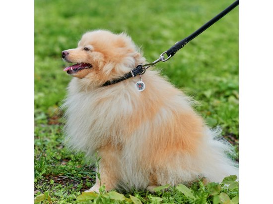 Фото 3 -  амуніція Collar SOFT Нашийник для собак довгошерстих порід круглий чорний
