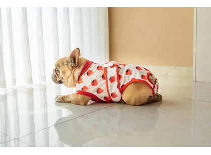 Фото 4 -  попоны, воротники, ботинки Fovis VPETER Strawberry послеоперационная попона для собак