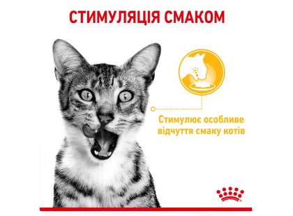 Фото 3 -  влажный корм (консервы) Royal Canin SENSORY TASTE GRAVY консервы для кошек привередливых ко вкусу