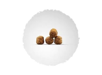 Фото 3 -  сухий корм Josera Mother & Puppy (Family Plus) сухий корм для цуценят, вагітних і лактуючих сук ЛОСОСЬ і РИС