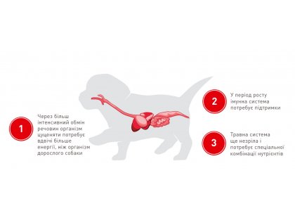 Фото 4 -  сухой корм Royal Canin GIANT PUPPY корм для щенков гигантских пород от 2 до 8 месяцев