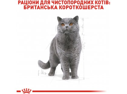 Фото - сухой корм Royal Canin BRITISH SHORTHAIR (БРИТАНСКАЯ КОРОТКОШЕРСТНАЯ) корм для кошек