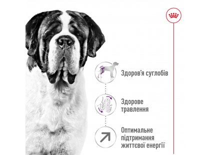 Фото 4 -  сухий корм Royal Canin GIANT ADULT (СОБАКИ ГІГАНТСЬКИХ ПОРІД ЕДАЛТ) корм для собак від 18 місяців