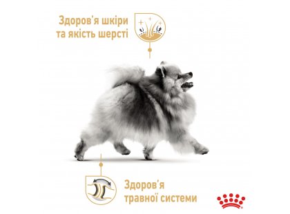 Фото - сухой корм Royal Canin POMERANIAN ADULT (ПОМЕРАНСКИЙ ШПИЦ) корм для собак от 8 месяцев