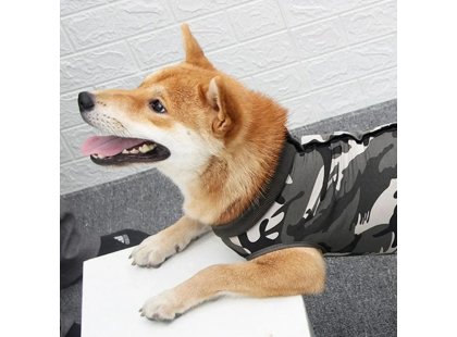 Фото 8 -  попоны, воротники, ботинки Fovis Derby Fashion Style Camouflage послеоперационная попона для собак, камуфляж