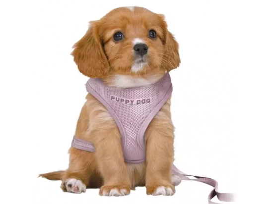 Фото - амуниция Trixie Junior Puppy Soft Harness with Lead шлейка с поводком для щенков, сиреневый