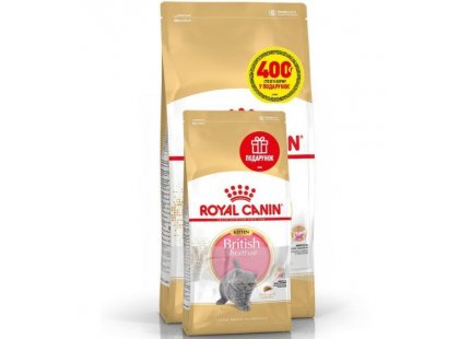 Фото - Royal Canin Kitten BRITISH SHORTHAIR (БРИТАНСКАЯ КОРОТКОШЕРСТНАЯ КИТТЕН) корм для котят до 12 месяцев сухой корм Royal Canin Kitten BRITISH SHORTHAIR (БРИТАНСКАЯ КОРОТКОШЕРСТНАЯ КИТТЕН) корм для котят до 12 месяцев