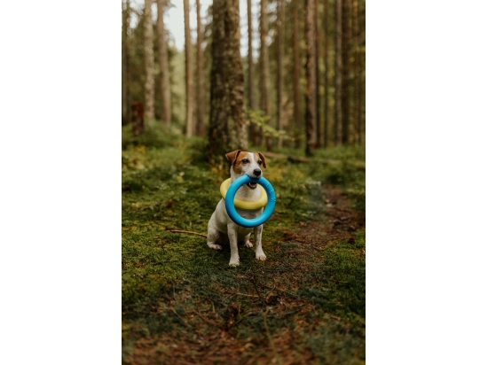 Фото - іграшки Collar PULLER Colors of Freedom тренувальний снаряд для собак (2 кільця)