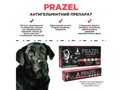 Фото 4 -  от глистов Modes Prazel антигельминтная суспензия для кошек и собак