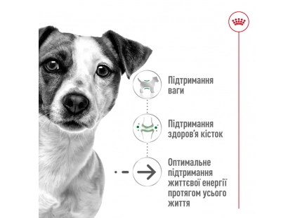 Фото - сухий корм Royal Canin MINI AGEING 12+ (СОБАКИ ДРІБНИХ ПОРІД ЕЙДЖИН 12+) корм для собак від 12 років