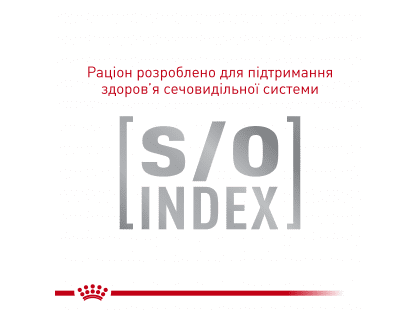 Фото 2 -  ветеринарные корма Royal Canin GASTROINTESTINAL лечебные консервы для кошек при нарушениях пищеварения