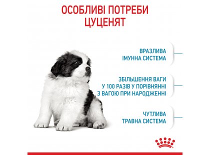Фото 13 -  сухой корм Royal Canin GIANT PUPPY корм для щенков гигантских пород от 2 до 8 месяцев