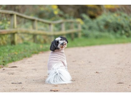 Фото 2 -  одежда Trixie Norwood пуловер для собак, пудра