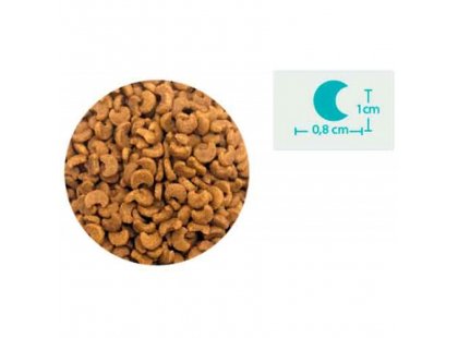 Фото 4 -  сухий корм BonaCibo ADULT STERILISED SALMON сухий корм для стерилізованих котів ЛОСОСЬ
