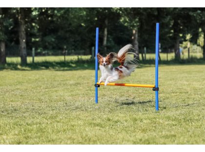 Фото - Trixie Hurdle - барьер для тренировки собак (3207) дрессировка и спорт Trixie Hurdle - барьер для тренировки собак (3207)