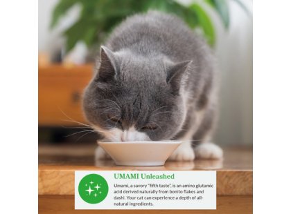 Фото 5 -  лакомства Inaba Cat Dashi Delights лакомство для кошек КУРИЦА С МОРСКИМ ГРЕБЕШКОМ