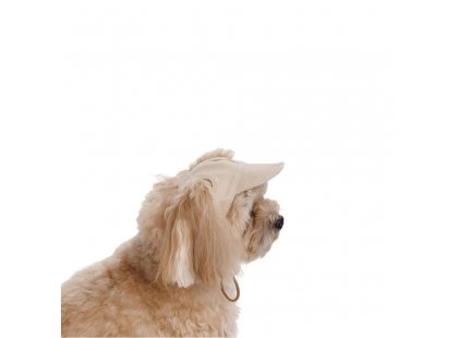 Фото 4 -  одяг Pet Fashion Glamour кепка для собак