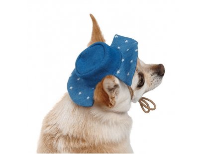 Фото 3 -  одяг Pet Fashion Stars панама для собак