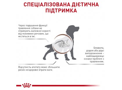 Фото 4 -  ветеринарні корми Royal Canin GASTROINTESTINAL GI25 (ГАСТРО ІНТЕСТИНАЛ) сухий лікувальний корм для собак