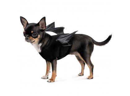 Фото - Pet Fashion Web аксессуар для собак, накидка с крыльями одежда Pet Fashion Web аксессуар для собак, накидка с крыльями