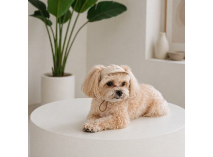 Фото 5 -  одяг Pet Fashion Glamour кепка для собак