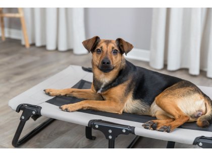 Фото 9 -  лежаки, матрасы, коврики и домики Trixie Dog Lounger шезлонг лежак для собак, беж/черный