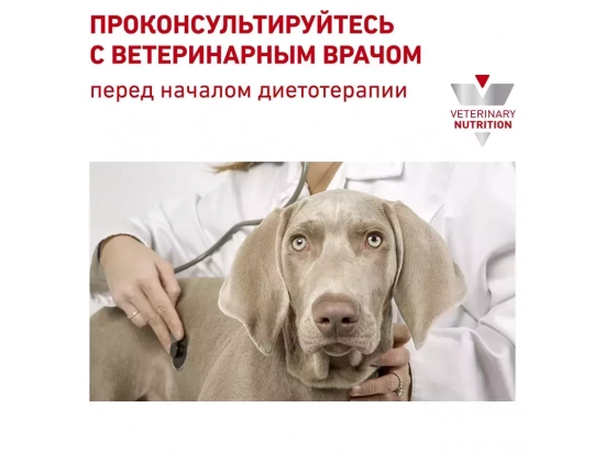 Фото - ветеринарні корми Royal Canin RENAL SMALL DOG корм для собак вагою до 10 кг із хронічною хворобою нирок